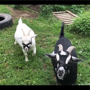 Meet your Posher, Winona